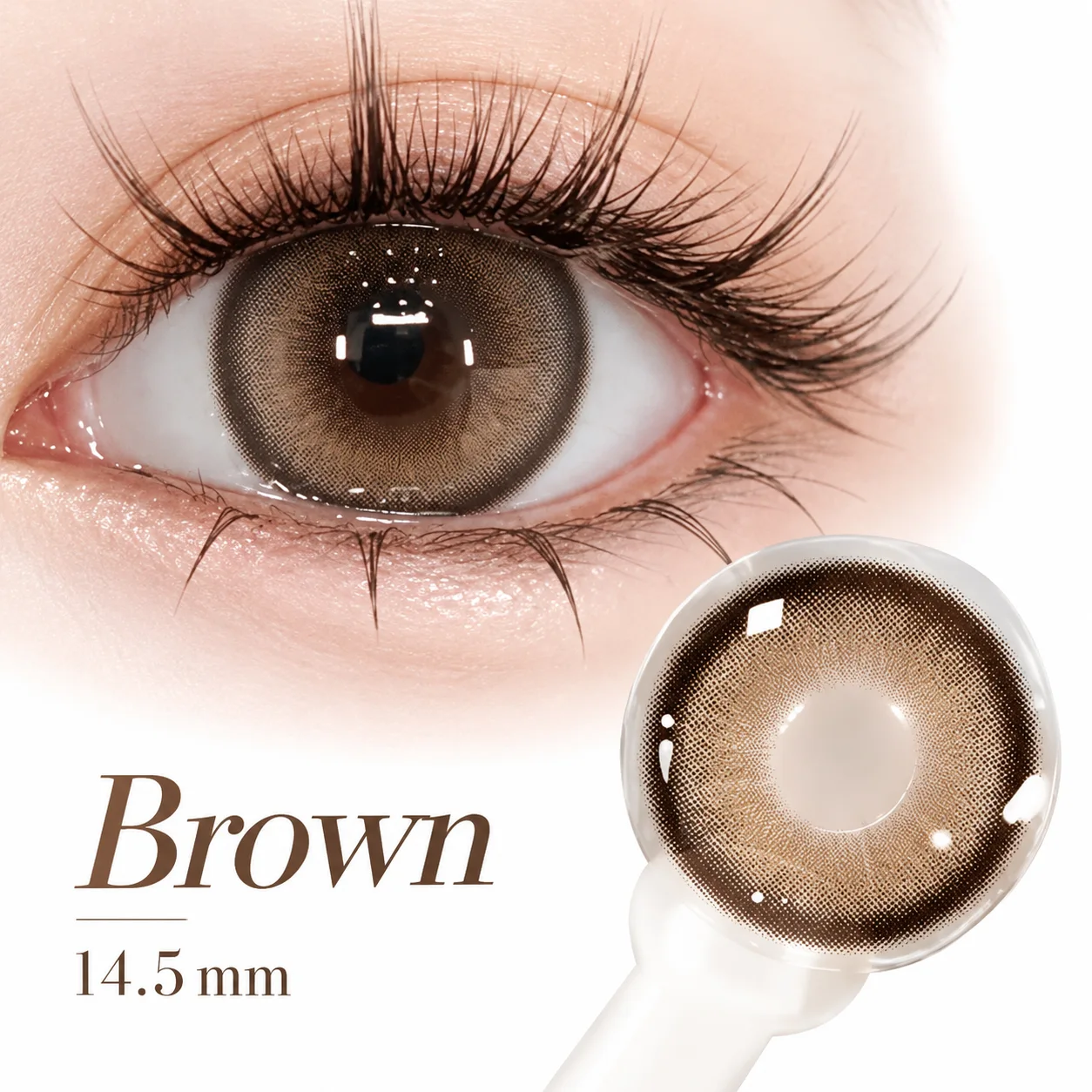 NOVA EYE Flipped Brown Daily Colored Contact Lenses Brown Daily colored contact lenses 3